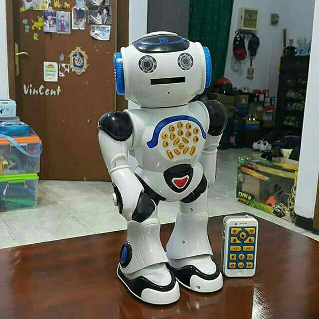 The Intelligent Brat Robot (preloved/second)