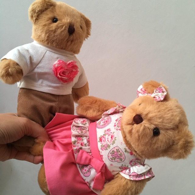 Couple teddy bear valentine