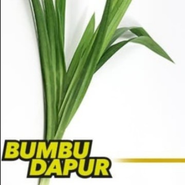 Daun Pandan / ikat