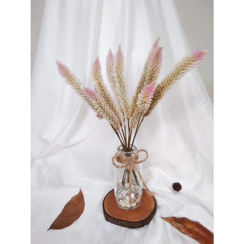 1 set bunga aesthetic mini dried flowers
