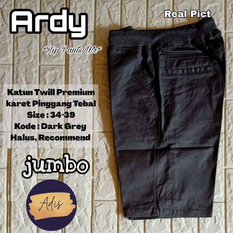 Ardy Rip Pants