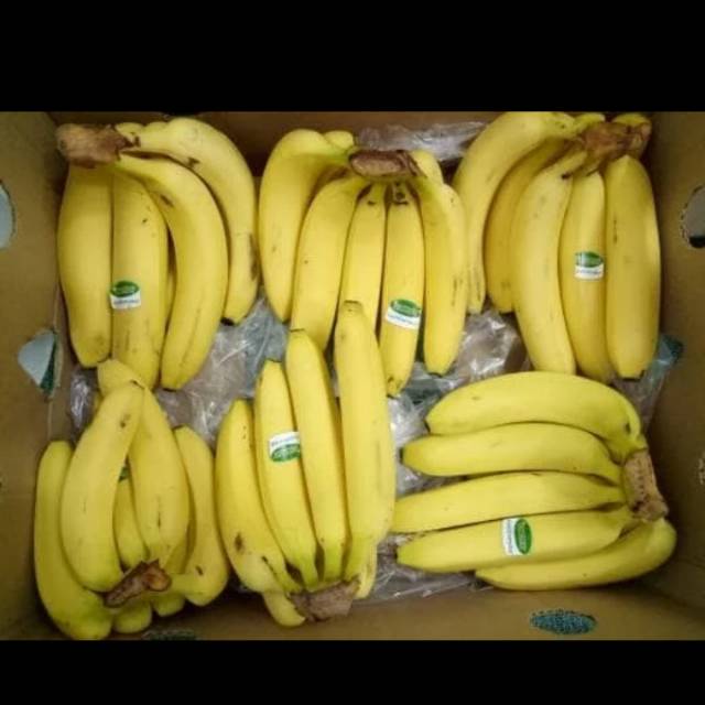 Pisang sunpride