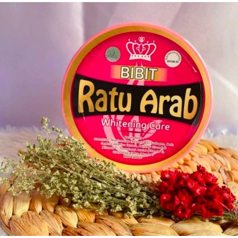 Bibit Ratu Arab (Original)