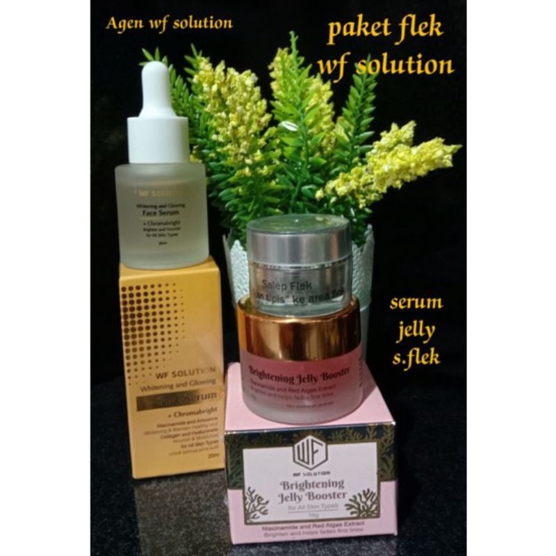 Paket FLEK Membandel Ampuh