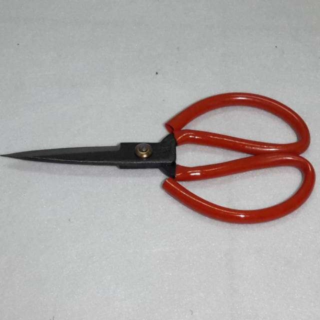 Kodok merah baterflay