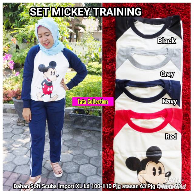 SET MICKEY TRAINING