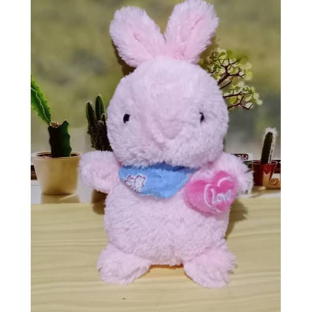 Boneka Kelinci Netherlands