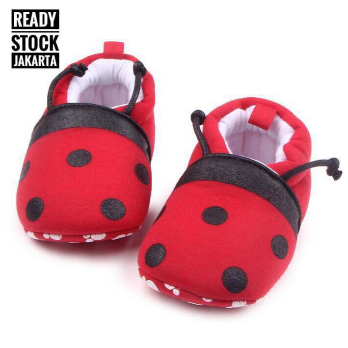 LIT5033 ladybug