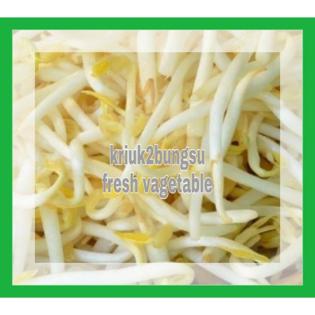 Toge / Sayur Toge