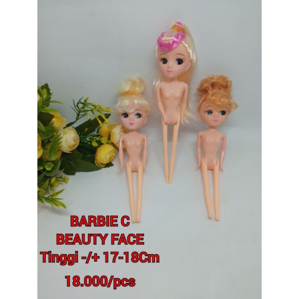 Barbie Beauty Face