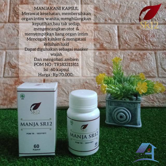 Manjakani Kapsul SR12