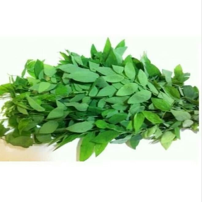 (COD) daun katuk fresh 200 grm