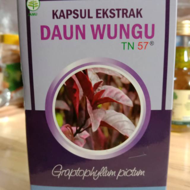 DAUN WUNGU WASIR AMBEIN 100% ORIGINAL