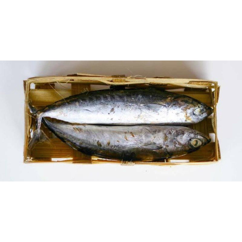 ikan cue