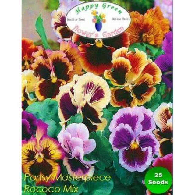 Benih Biji bunga Pansy