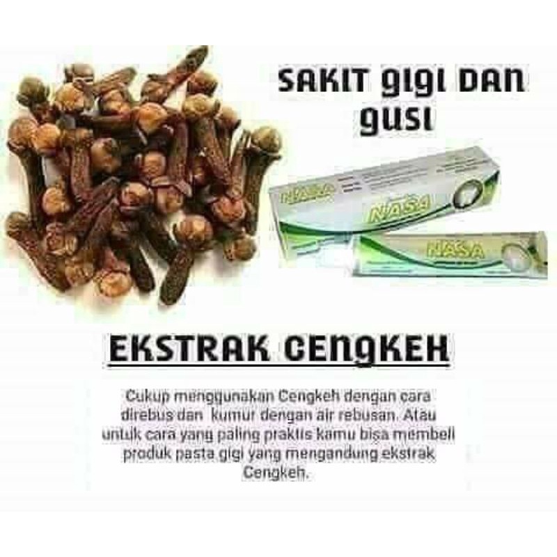 PASTA GIGI NASA
