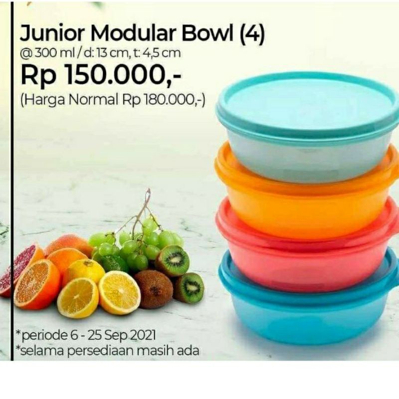 junior modular bowl (junmod) small summer dan summer cup