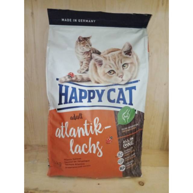 Happy cat