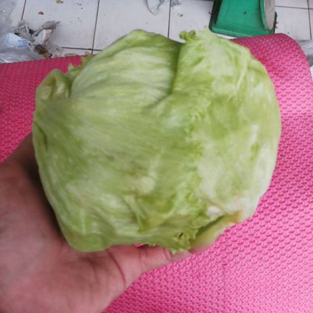 Sayuran organic