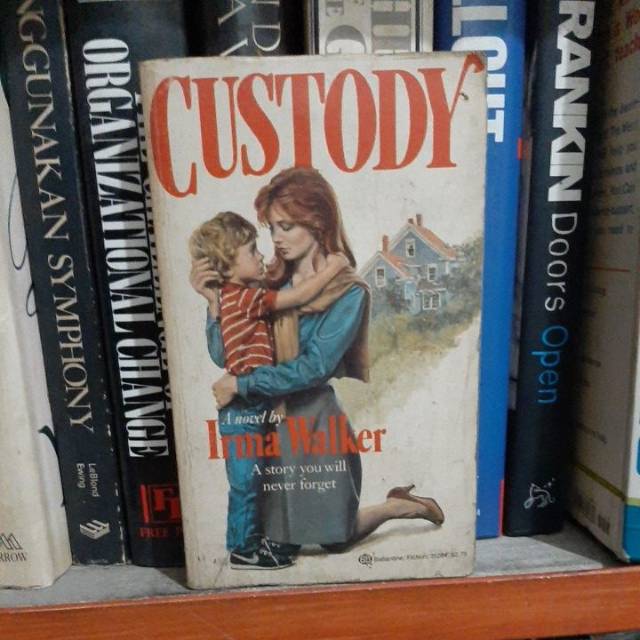 Inna Walker: Custody (Novel Import)