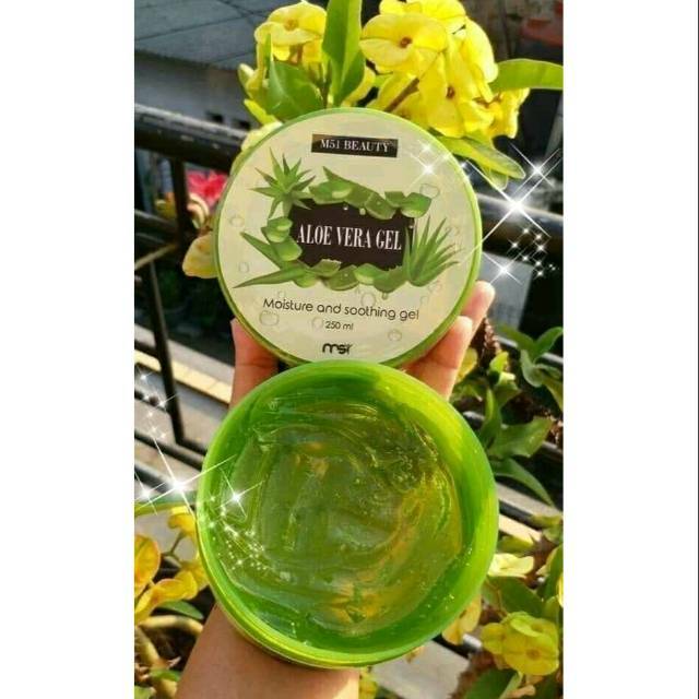 Msi aloe vera sooting gel