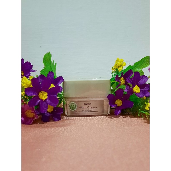 Acne Night Cream