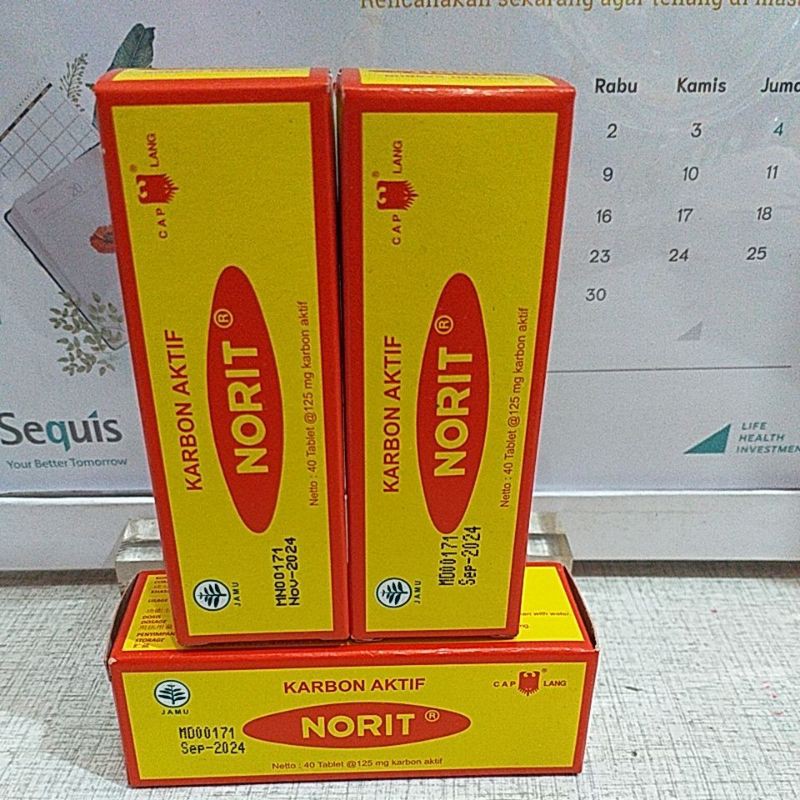 norit isi 40tablet