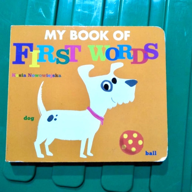 Buku anak “first words”