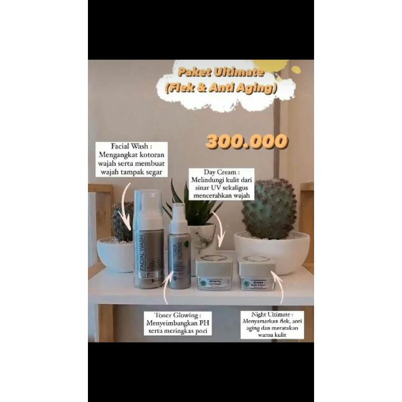 paket/ecer  MS glow
