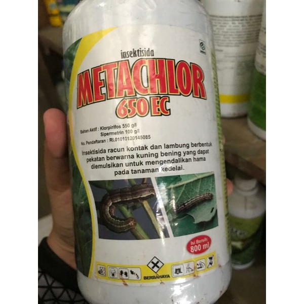 Metachlor 650EC insektisida