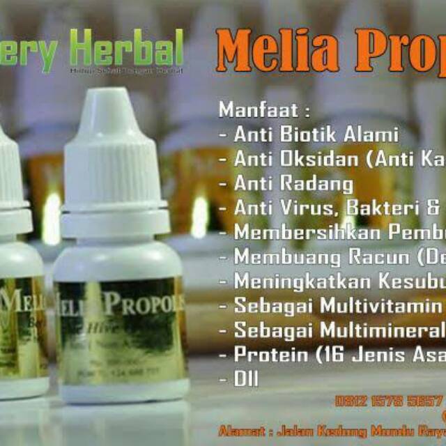 Melia propolis