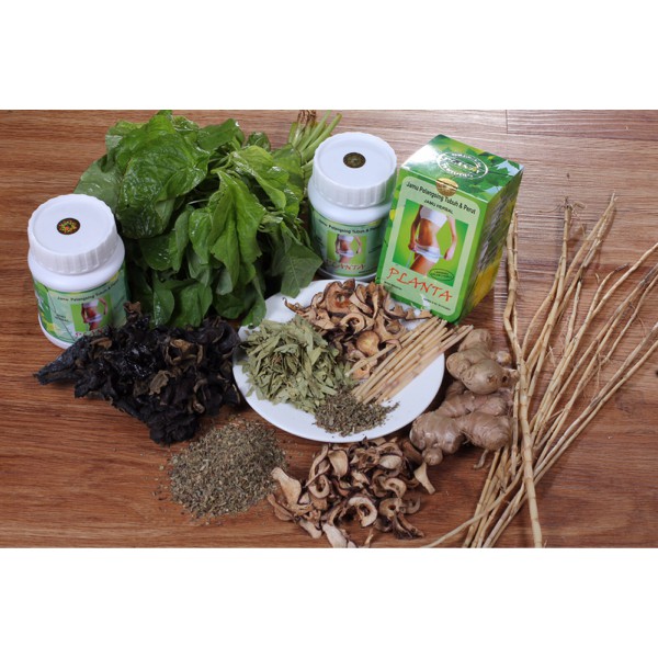 Jamu Pelangsing Planta - ju331