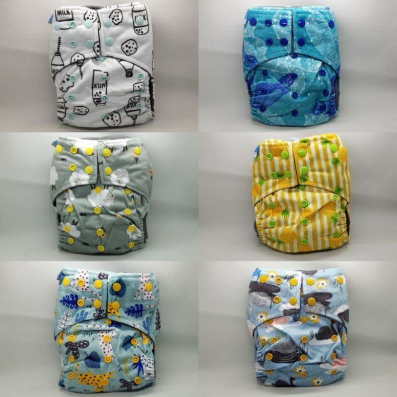 Clodi Sobi 2 Insert Microfiber