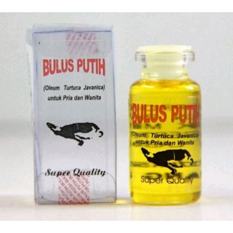 Minyak Bulus Putih Original