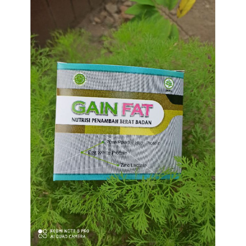 GAINFAT Paket A