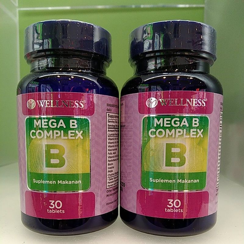 wellness mega b complek