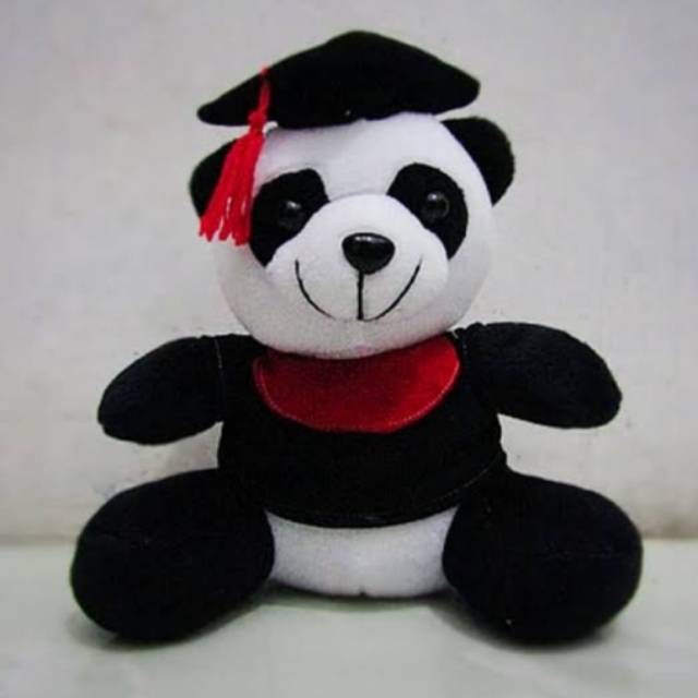 Boneka Panda Wisuda