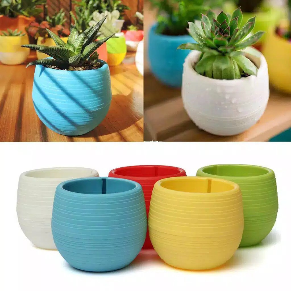 Mini pot Bunga / Pot Mini