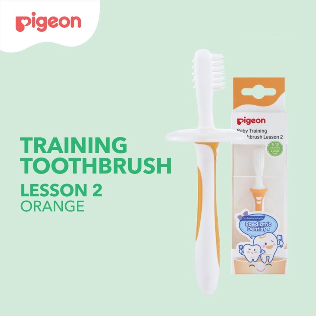 PIGEON TRAINING TOOTHBRUSH LESSON 2 ORANGE