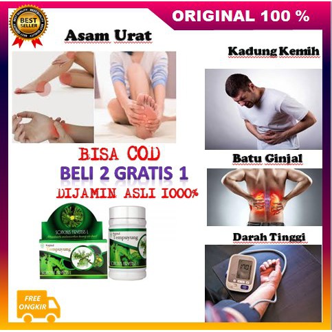 [BISA COD] Kapsul Tempuyung Griya Annur Original