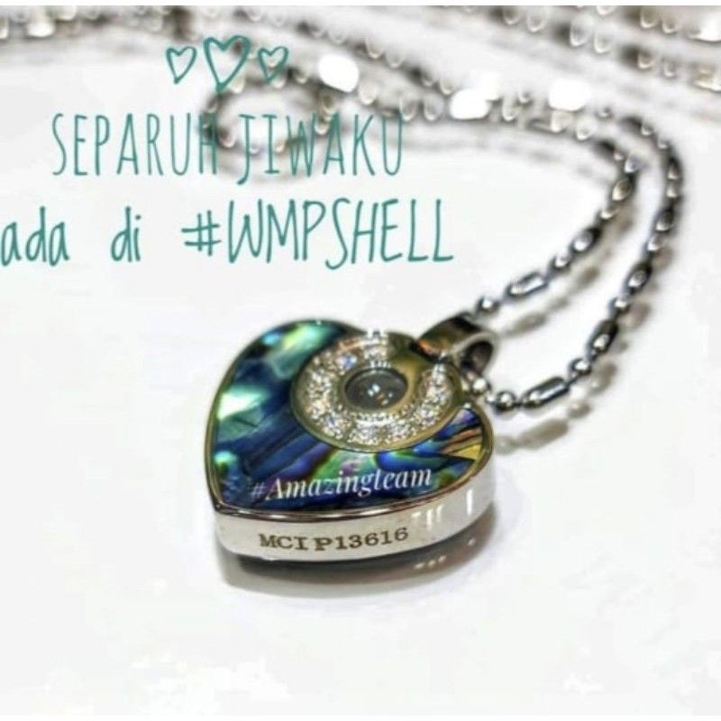LSW SHELLY2