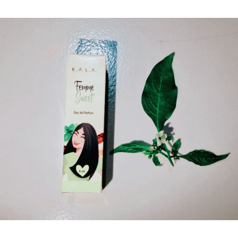 PARFUM KALA - Temme Sweet 6ml
