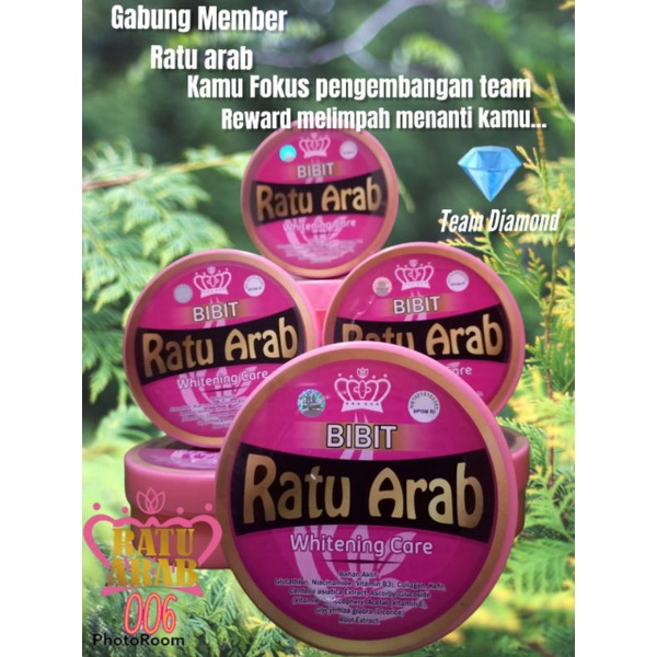 bibit ratu arab