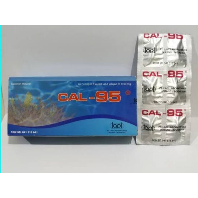 cal 95
