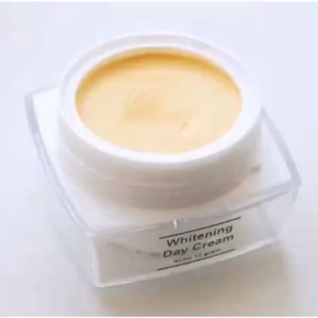 Day Cream Msglow