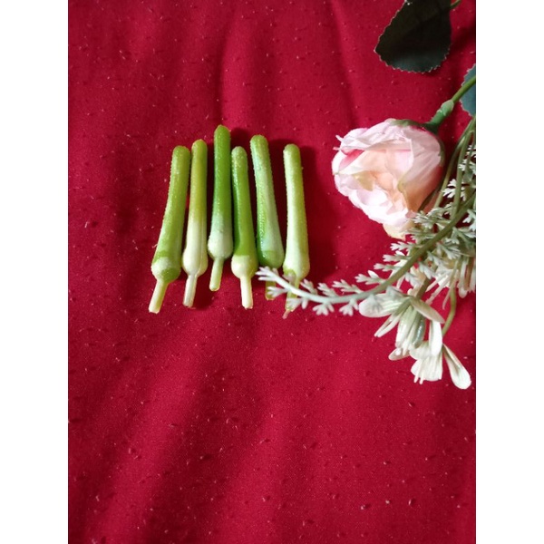 Putik Bunga Calla Lily Hijau Muda