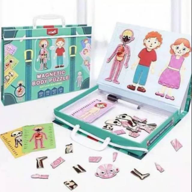 Magnetic Body Puzzle