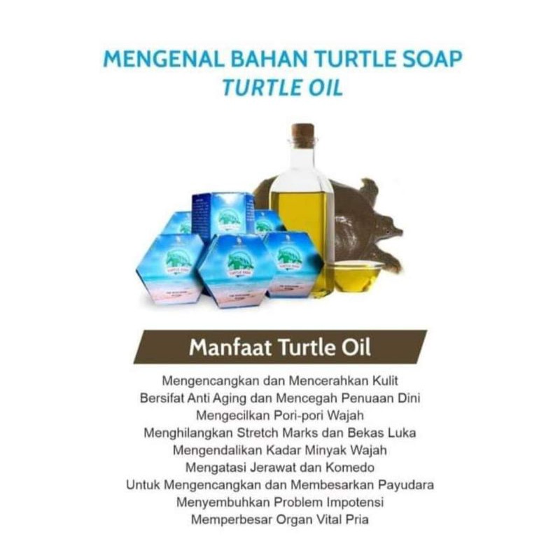 turtle soap