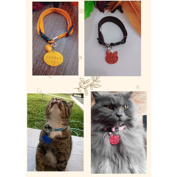 Kalung kucing custom dan nomor Hp