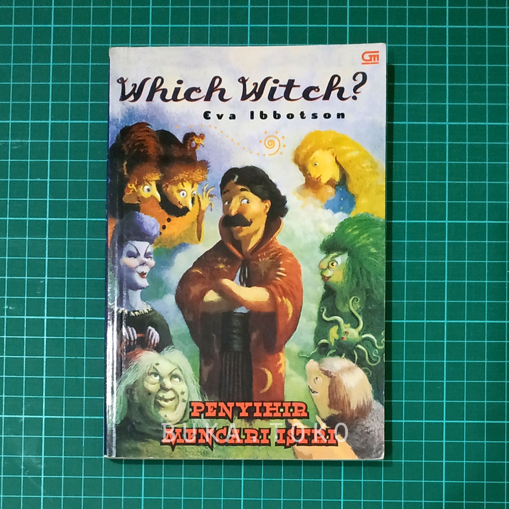 Which Witch? - Eva Ibbotson